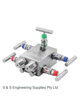 A 5VM D DP2 Manifold Valve